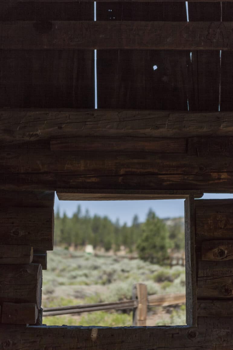 A photograph of and through a friend’s window that frames a ridge of trees and blue sky.